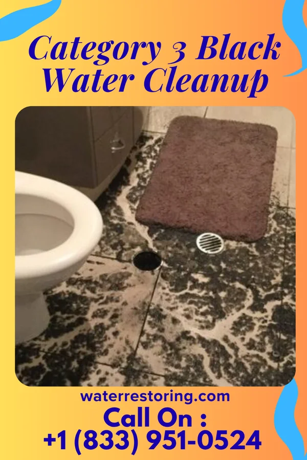 Category 3 Black Water Cleanup in Savanna, IL